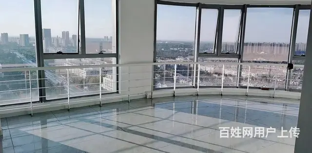 金鹏国际 - 图片 2