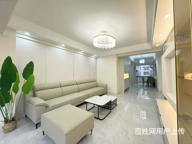 珠江凤凰城南新柳城电梯7楼87平精装36.8万 - 图片 3
