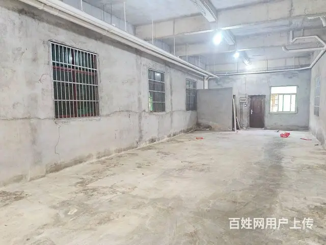 （51旺铺推荐）荔枝沟新中路180平店铺出租 - 图片 6