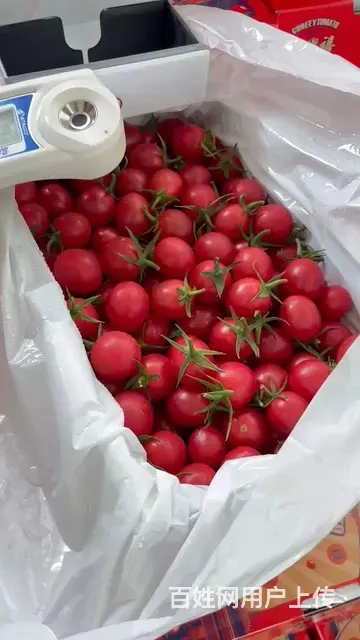水果供应商成都水果批发市场配送全品类水果上门 - 图片 5