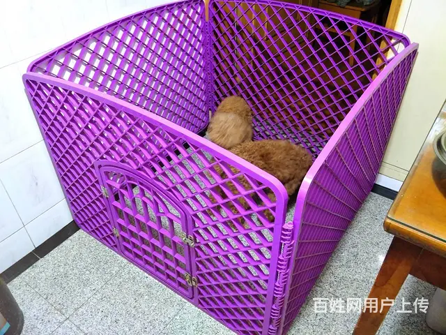 【个人转让】宠物围栏：长100cm * 高77cm - 图片 1