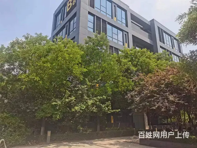 四层5700平独栋办公楼  沈阳国际软件园甲方招商 送免租期 - 图片 2