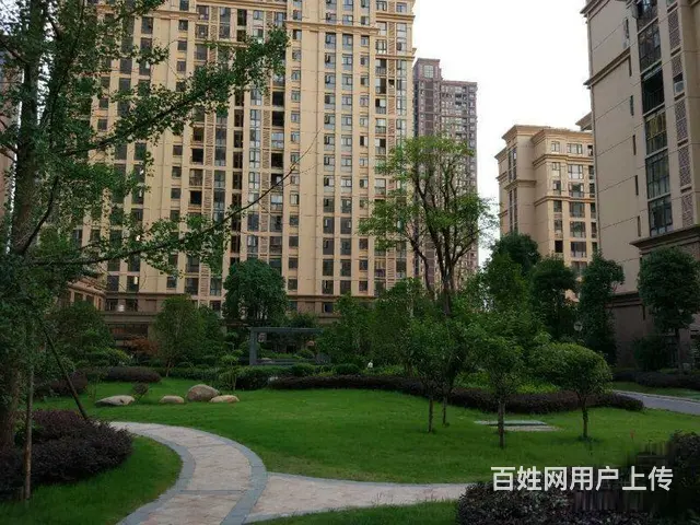 滁州城南实验二小旁 紫金广场商铺出售 繁华闹市中的 - 图片 9