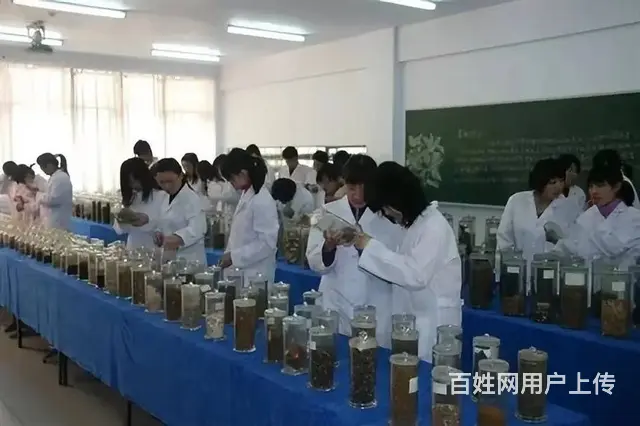 2023莱芜卫校招生计划 - 图片 2