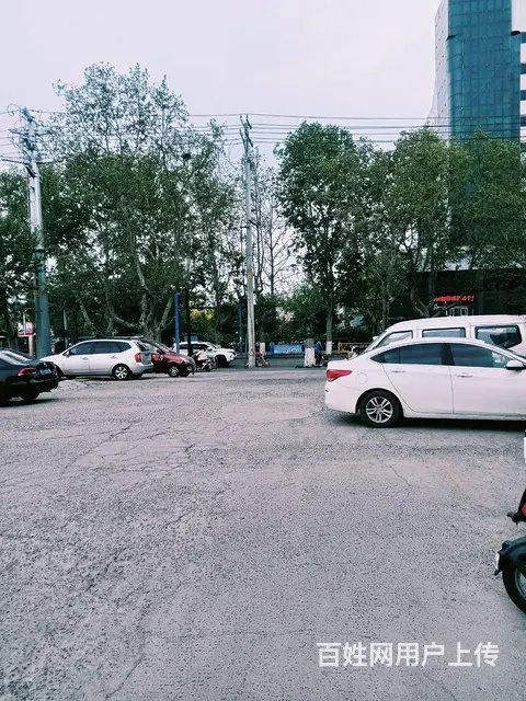 急找个诚实本份的女性为伴 - 图片