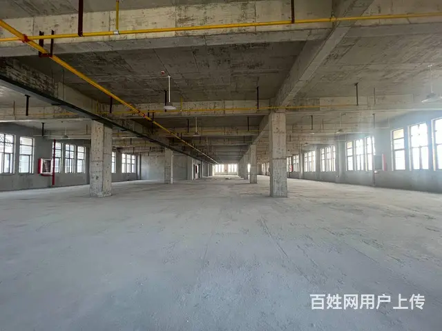 非中介 自有宜昌高新区厂房办公优惠租单层独栋都有 交通便利 - 图片 3