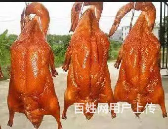 揭阳 广式烧腊品种丰富 各地受捧 汕头仟味餐饮培训 - 图片 2