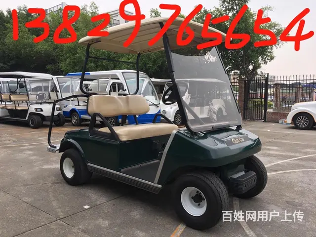 出租租赁出售电瓶观光车 展会接驳车 楼盘看房车 - 图片 6