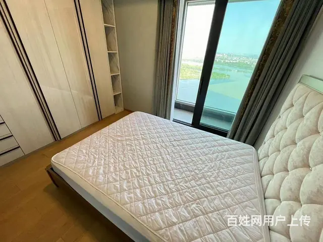 东湖旁 业主自主出租 近武汉站 一梯一户 全屋定制 - 图片 5