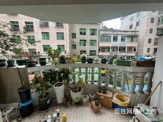 急售！洪南路兰苑花园精装大三房！全屋打包出售产证齐全正常按揭 - 图片 6