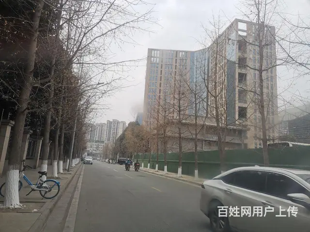 温江本地有高手修补挡风玻璃 优质高效 - 图片 6