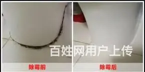 广州上门除霉公司，越秀区正规除发霉，办公室除霉服务 - 图片 6