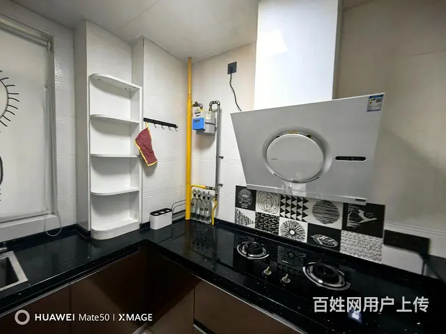 新区   理工大学附近 常绿林溪谷  精装修 独立卧室拎包 - 图片 4