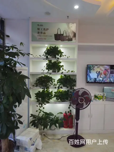 兰山区沂州路与金坛路交叉口150平洗衣店转让 - 图片 3