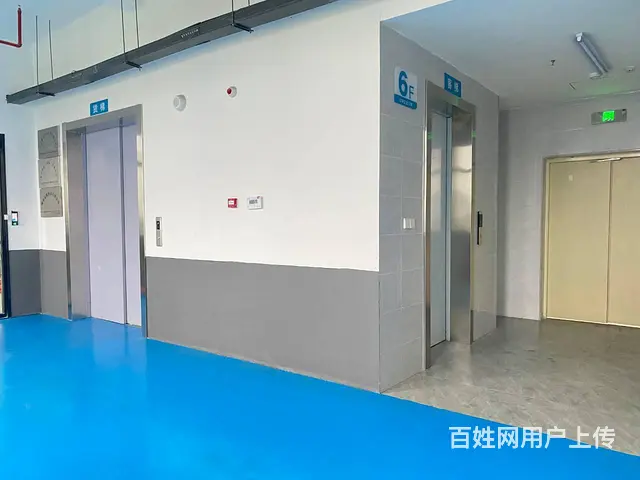 (房东直租)望城金荣企业园300平厂房出租，带办公 - 图片 10