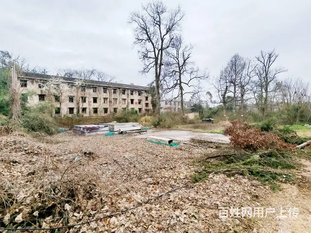 （老板本人）宁乡高速旁独门独院厂房出租  6116 - 图片 6