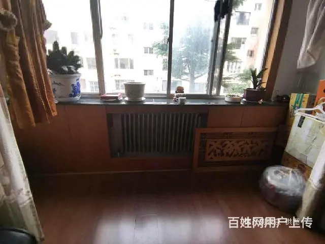 皇冠好楼层三室，不靠道。皇冠南区，金海湾花园 - 图片 10