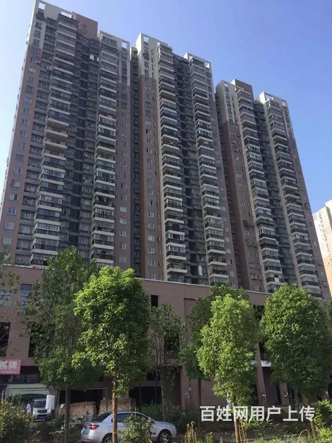 4号线铁机路地铁 岳家嘴 欢乐大道 金地广场 精装 - 图片 12