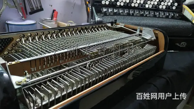 广州专业手风琴维修，鹦鹉百乐金杯手风琴维修 - 图片 3