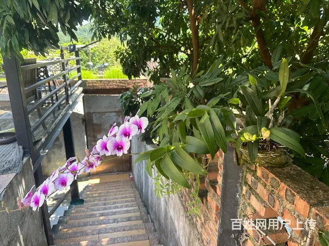 海景大宅 - 图片 7