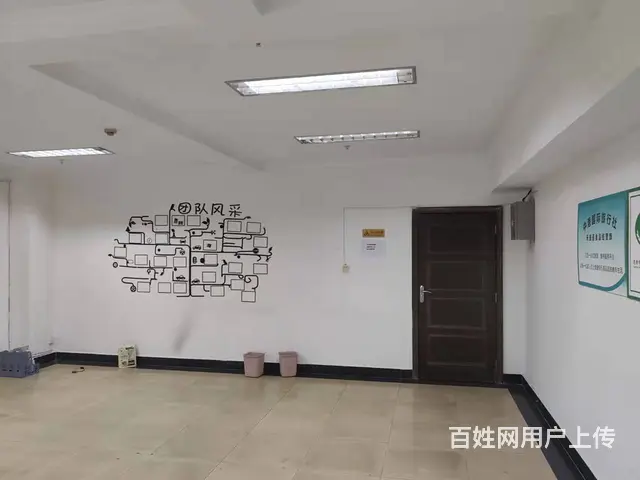 东区炳草岗炳三区繁华地段商业综合体写字楼 - 图片 5