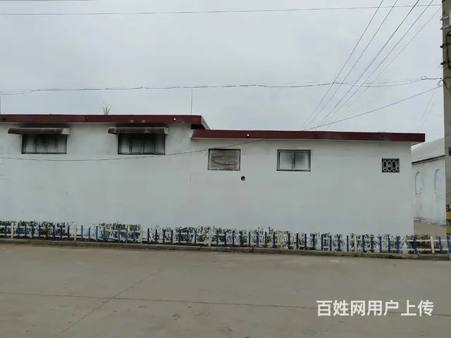 房屋出租 - 图片
