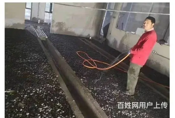 石家庄陶粒 优质建筑陶粒 园林绿化陶粒 文化石加工 - 图片 6
