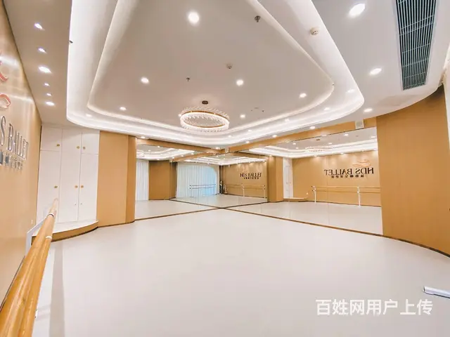 珠海舞蹈芭蕾舞零基础舞蹈培训 - 图片 12