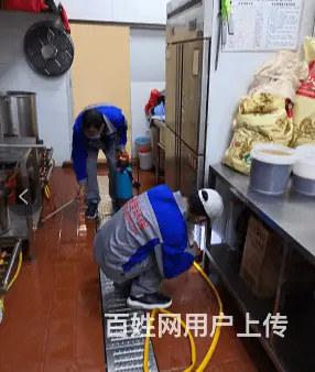 专业消杀公司丶专业提供除蚊蝇公司 - 图片 1
