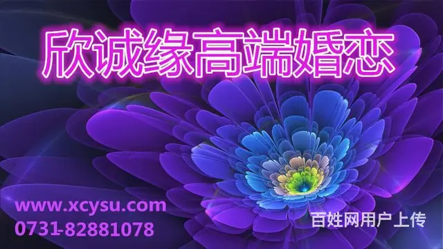 高端靠谱，一对一速配征婚网长沙市欣诚缘 - 图片
