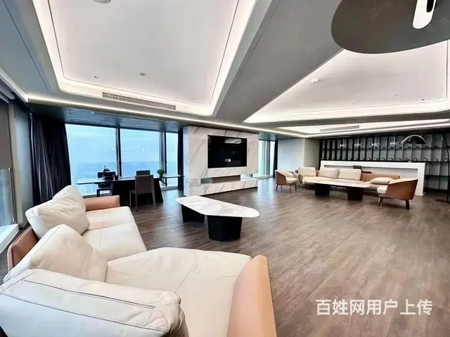 东方希望天祥广场地铁世纪城顶跃天际豪装办公写字楼出租 - 图片 4