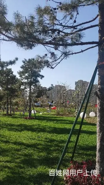 鸡西上门做系统打印机维修 - 图片 3