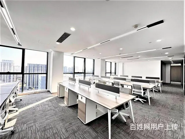 滨江独栋！科技电商AI 总部办公优选 超长免租期！定制装修！ - 图片 7