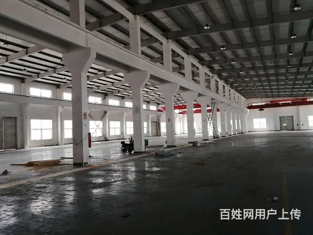 出租新北区安家镇独门独院单层车间2500平方可架行车 - 图片 2