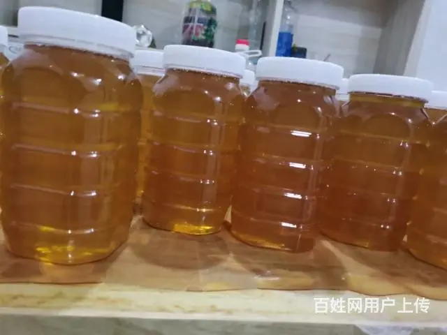 甜甜蜜蜜 - 图片 2