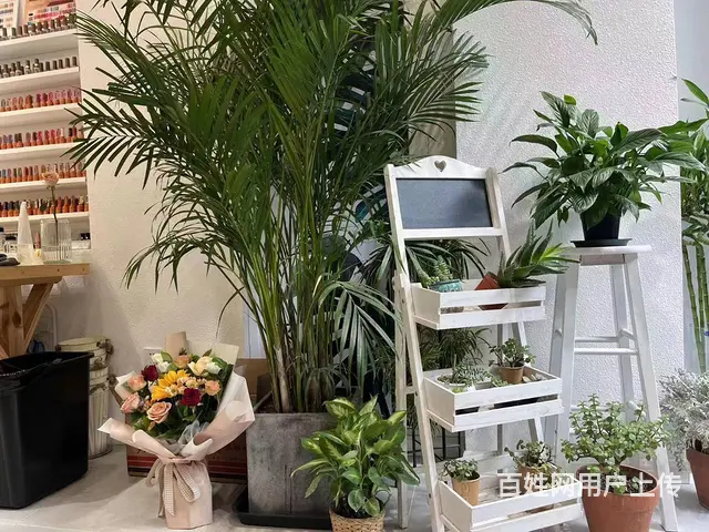 （同城乐铺推广）丽彩珠泉广场29平花店转让，客源稳定 - 图片 4