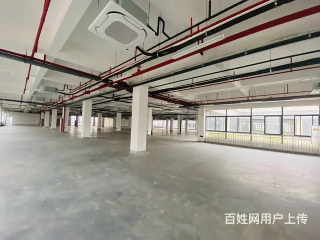 高新区厂房出租，配套齐全，各种补贴 - 图片 8