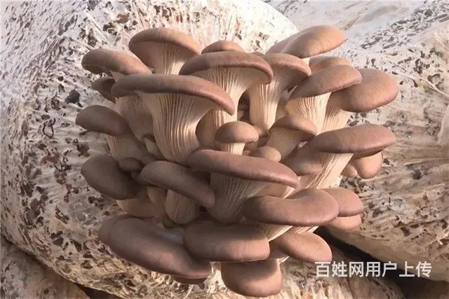 浏阳到长沙网约车拼车商务车私家车小车队电话‌‌ - 图片