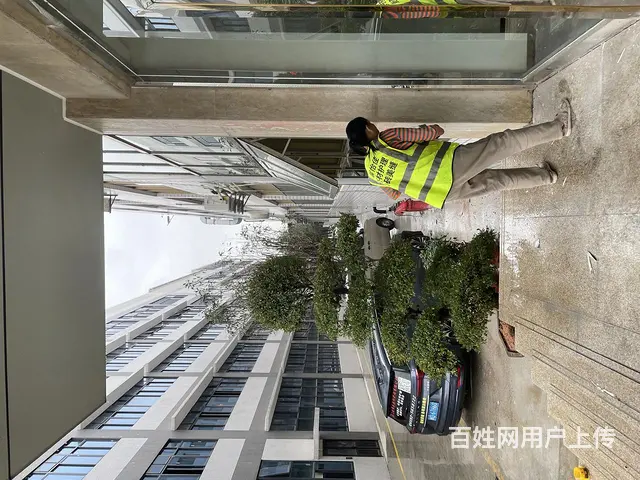 厦门墙壁粉刷，出租房墙壁油漆涂料，专业放心 - 图片 2