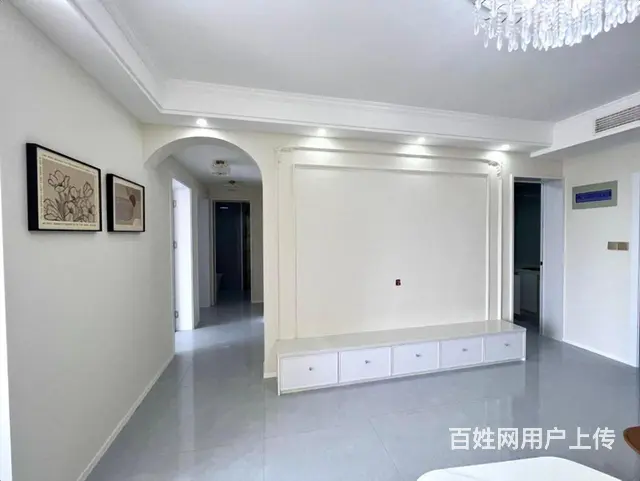 房东豪华装修！城南市政旁 凯迪塞纳河畔 轻轨口近九九广场 - 图片 4