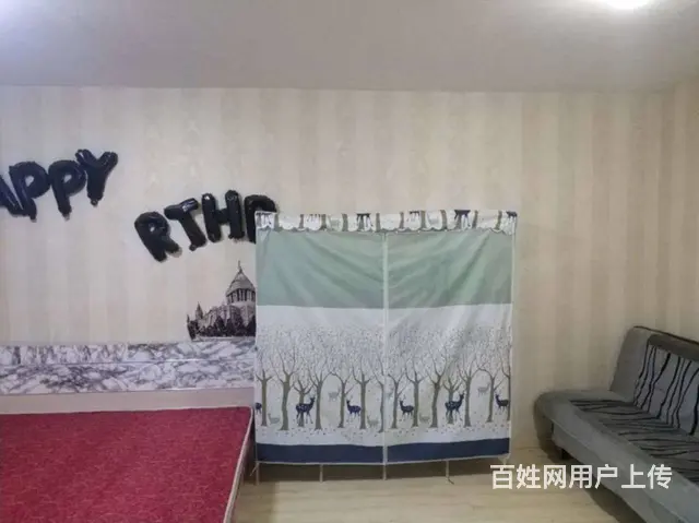 地铁房丽十二公馆(铁西) 普通住宅1厅 精装修 - 图片 4