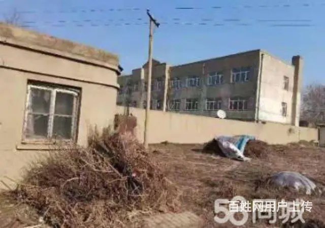 香坊区幸福乡孙家村厂房大院出售 - 图片 2