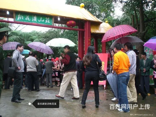 桃花溪山庄转让 - 图片 10