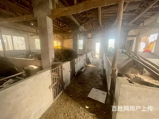（老板本人）长沙县开元大道旁春华镇厂房仓库房东出租 5841 - 图片 4