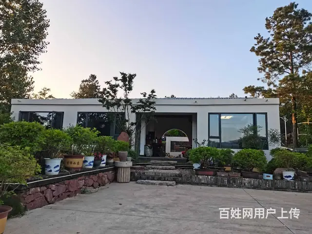 合肥鑫森生态示范园合适自驾游亲子游 - 图片 9