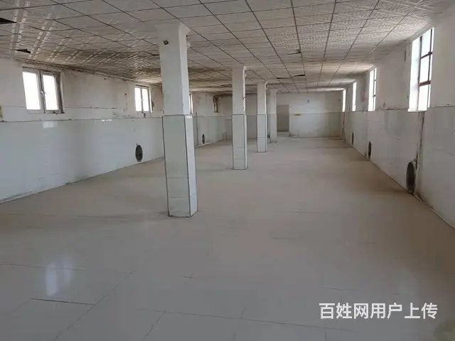 B个人一机场路厂库房带院子对外出租 - 图片 1