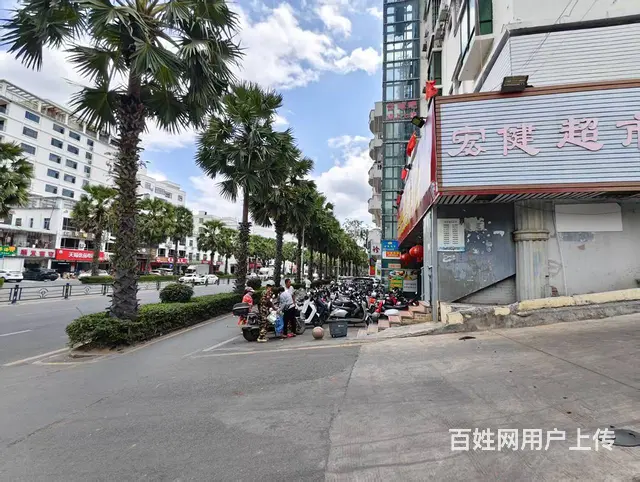 （51旺铺推荐）凤凰路羊栏300平旺铺出租 - 图片 6