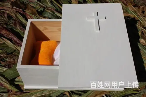 珠海市宠物火化多少钱-珠海市宠物火化费用一览表 - 图片 1
