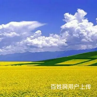 呼伦贝尔草原自由行包车师傅价格阿尔山包车师傅价格 - 图片 3