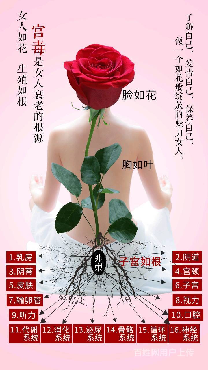 花茵美效果到底怎么样?